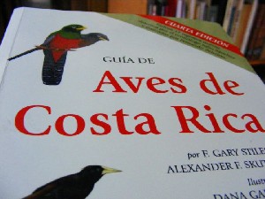 biblioteca 046 copy.jpg